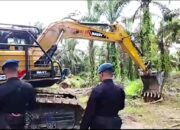 Pemusnahan Pohon Sawit di Kawasan TNTN Terus Digencarkan