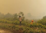 Karhutla Dekati Permukiman, Warga Rimbo Panjang Mulai Sesak Napas