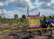 Buka Kebun dengan Cara Dibakar, 10 Hektare Lahan Gambut di Siak Hangus