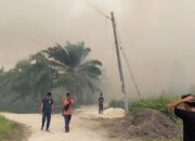 Asap Karhutla Kepung Permukiman di Rimbo Panjang Kampar, Warga Mulai Sesak Napas