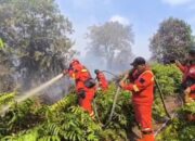 Pemprov Riau Tetapkan Status Siaga Darurat Karhutla 13 Februari- 30 November