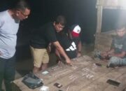Pengedar Narkoba Dibekuk Polisi di Perkebunan Sawit, Ratusan Paket Sabu-Sabu Disita