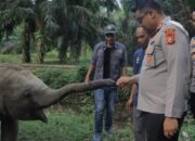 Kapolres Kampar Perkuat Komitmen Pelestarian Satwa Bersama Green Policing Runners