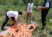 Penemuan Kerangka Manusia di Areal PT RAPP, Polisi Lakukan Penyelidikan