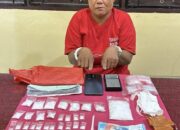 Emak-Emak 52 Tahun di Lirik Diduga Jadi Bandar Sabu dan Ekstasi, Polisi Amankan 104 Gram Sabu