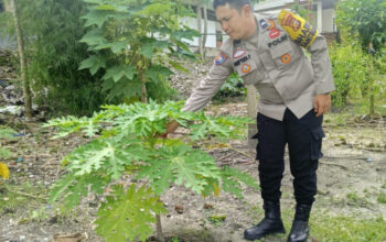 Bhabinkamtibmas Kelurahan Kota Tinggi Ajak Warga Manfaatkan Lahan Pekarangan Jadi Lahan Produktif