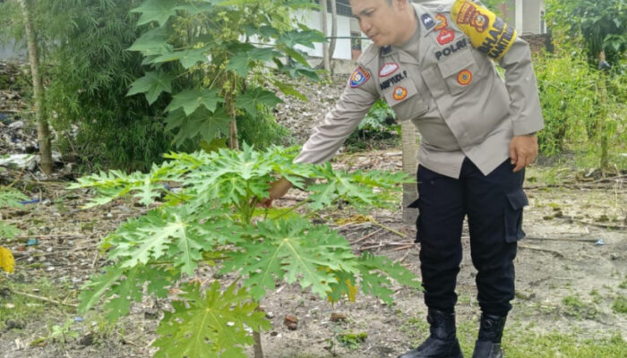 Bhabinkamtibmas Kelurahan Kota Tinggi Ajak Warga Manfaatkan Lahan Pekarangan Jadi Lahan Produktif