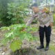 Bhabinkamtibmas Kelurahan Kota Tinggi Ajak Warga Manfaatkan Lahan Pekarangan Jadi Lahan Produktif
