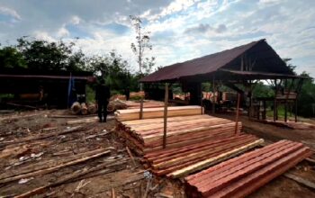 Kilang Kayu Iegal di Kampar Digerebek Polisi