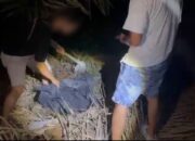 Tujuh Kilogram Sabu-sabu Ditanam di Kebun Sawit, 3 Tersangka Dibekuk