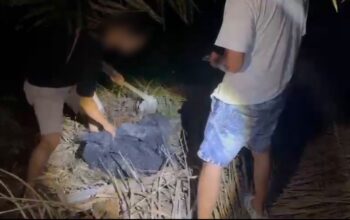 Tujuh Kilogram Sabu-sabu Ditanam di Kebun Sawit, 3 Tersangka Dibekuk