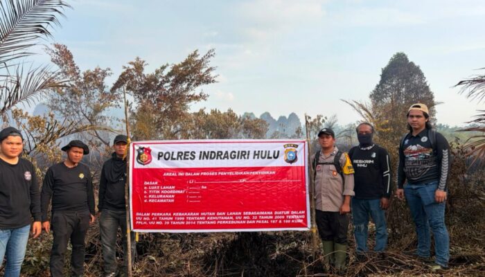 Buang Puntung Rokok di Lahan Kering Mengakibatkan 5 Hektare Hutan Ludes Terbakar