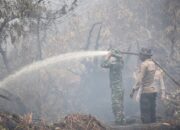 Upaya Pemadaman Kebakaran Hutan dan Lahan Ditingkatkan