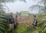 Penanganan Karhutla Berkelanjutan, Lahan Bekas Terbakar Disita