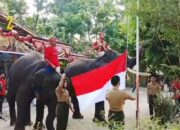 Gajah di Kebun Binatang Kasang Kulim Ikuti Upacara Bendera HUT Ke-81 Republik Indonesia