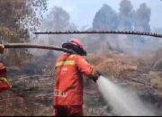 Kebakaran Hutan Meluas,  Lima Titik Api Masih Membara