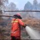 Kebakaran Hutan Meluas,  Lima Titik Api Masih Membara