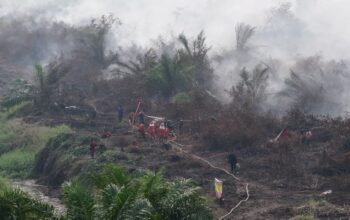 Kebakaran Lahan Gambut Seluas 70 Hektare di Inhu Belum Teratasi