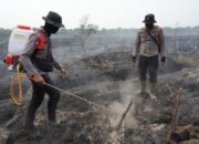 Pendinginan Karhutla Menggunakan Cairan X-Fire