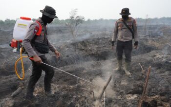 Pendinginan Karhutla Menggunakan Cairan X-Fire