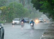 Diguyur Hujan, Kualitas Udara di Pekanbaru Kembali Membaik