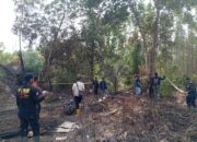 Polisi Tangkap Tersangka Pembakar Hutan dan Lahan di Siak