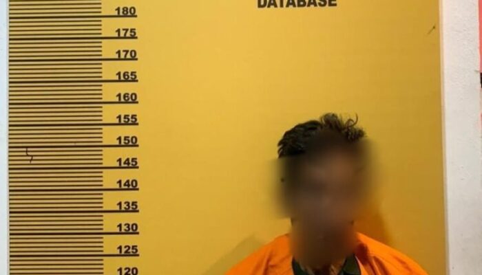 Polisi Tangkap Tersangka Pembakar Lahan 1,8 Hektare di Inhu
