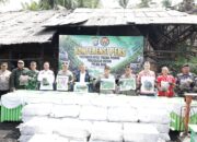 Polisi Ungkap Dapur Arang Mangrove Ilegal di Pulau Rupat, Dua Tersangka Ditangkap
