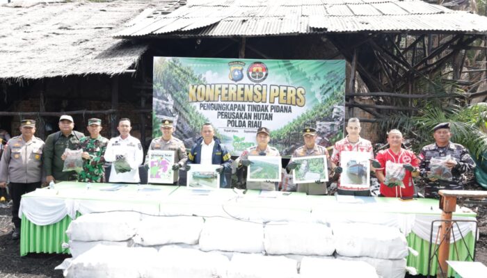 Polisi Ungkap Dapur Arang Mangrove Ilegal di Pulau Rupat, Dua Tersangka Ditangkap