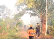 Karhutla Kepung Permukiman Warga di Tembilahan Memicu Kepanikan