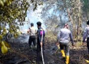 Sebanyak 150 Titik Panas Tersebar di Riau