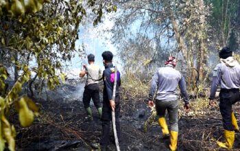 Sebanyak 150 Titik Panas Tersebar di Riau