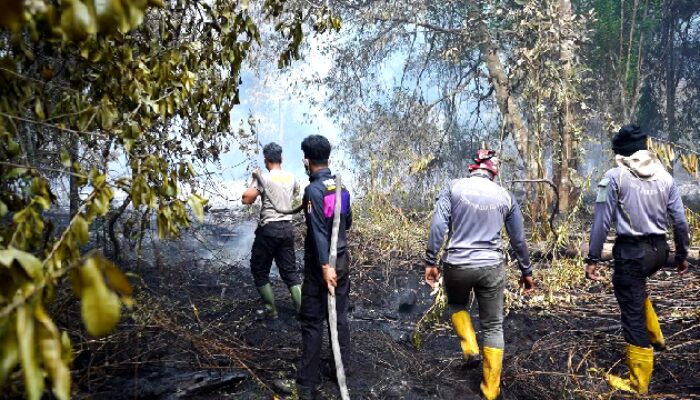Sebanyak 150 Titik Panas Tersebar di Riau